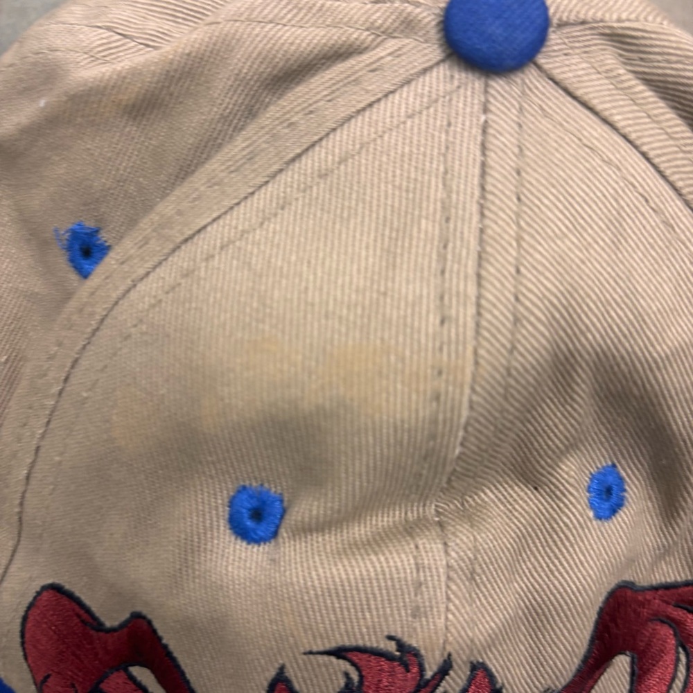 Vintage 1995 Taz Tasmanian Devil Looney Tunes Snapback Hat Head Start 90s Cap - Picture 2 of 6